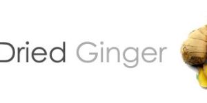 Ginger