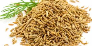 Cumin