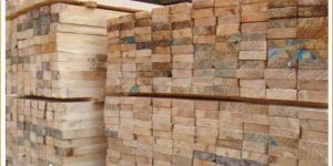 Silver Oak Timber Wood