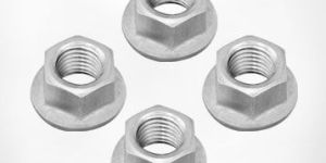 Flange Nuts