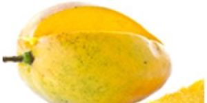 Himayat Mango