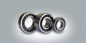 Cylindrical Roller Bearings