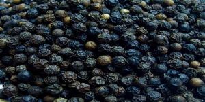 Black Pepper Seeds