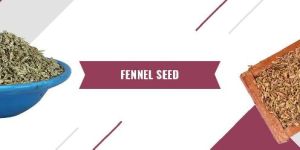 Fennel Seed