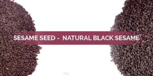 Natural Black Sesame Seed