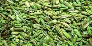 Fennel Seeds