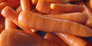 Processed Carrots