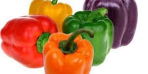 Processed Sweet Pepper