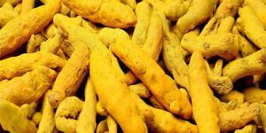 Turmeric Finger