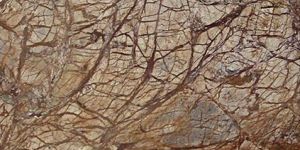 Rainforest Brown Marble
