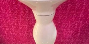 Dolphin Wash Basin Set