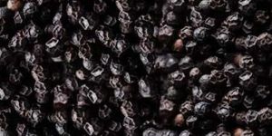 Black Pepper