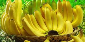 Yellow Banana