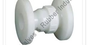 PP Non Return Valve Flange End