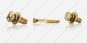 Customized Head Shape Screw