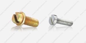 Slotted Head Screw
