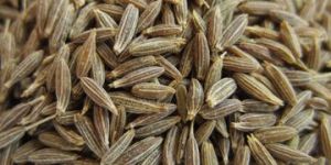 Cumin Whole