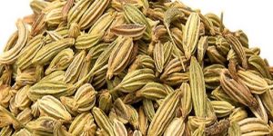 Fennel Seed