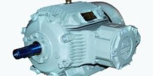 FLAMEPROOF IE2 MOTORS