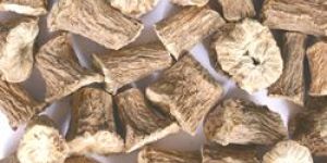 Un-roasted Chicory Roots (Hand Cut Roots)