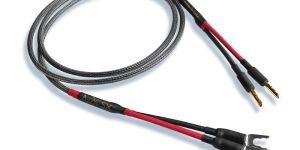 Speaker Cable