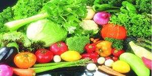 Fresh Vegetables