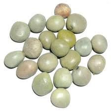 Gataran Medicinal Seeds