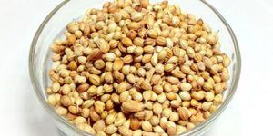Coriander Seeds