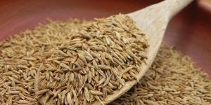 Cumin Seeds