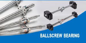 Ball Screws Bearing
