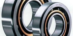 Skf Bearing