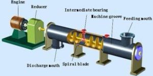 Screw Conveyor