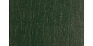 Green PU Cotton Coated Fabric