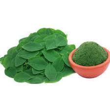 Moringa Leaves