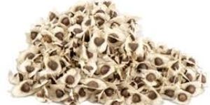Moringa Seed