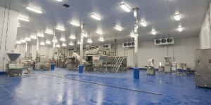 Cold Storage Systems