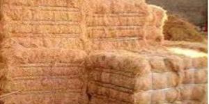 Coconut Coir Fiber
