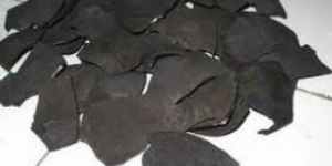 Coconut Shell Charcoal