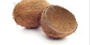 Coconut Shells
