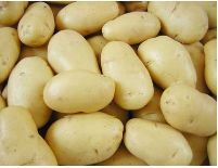 Fresh Potato