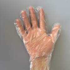 Surgical Hand Gloves
