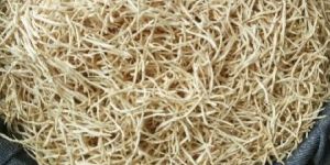 Safed Musli Powder or