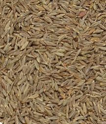 Singapore Quality Cumin Seeds