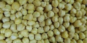 Yellow Roasted Chickpeas