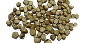 Zedoary Root Extract Powder