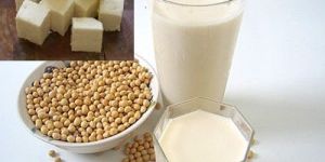 Soya Milk Tuffu Machine