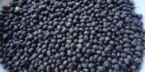 Whole Black Urad Dal