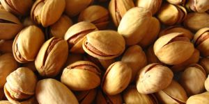 Pistachio Nuts