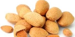Shelled Almonds
