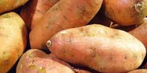 Sweet Potato